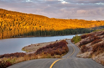 Efterår i Cypress Hills Interprovincial Park - Canada