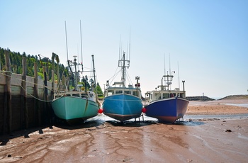 Fiskebåde på grund i kystbyen St. Martins ved Fundy Bugten i New Brunswick, Canada