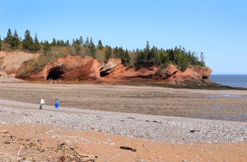 Stenstrand nær St. Martins ved lavvande - Fundy bugten i New Brunswick, Canada