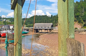 Havnen med fiskebåde på grund i kystbyen St. Martins ved Fundy Bugten i New Brunswick, Canada