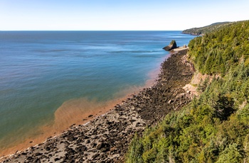 Kyststrækning i Fundy National Park, New Brunswick, Canada