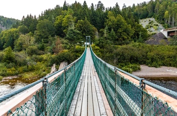 Hængebro i Fundy National Park, New Brunswick, Canada