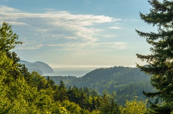 Udsigt over Fundy National Park, New Brunswick, Canada