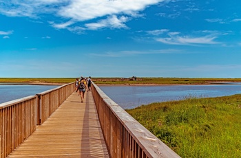 Gangbroen til Kelly Beach i Kouchibouguac National Park, New Brunswick i Canada