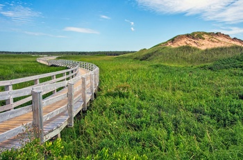 Vandresti på Prince Edward Island National Park, New Brunswick i Canada