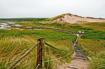 Vandresti på Prince Edward Island National Park, New Brunswick i Canada