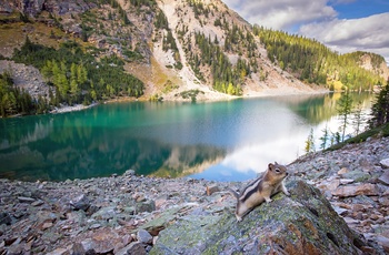 Vandretur ved Lake Agnes i Banff National Park