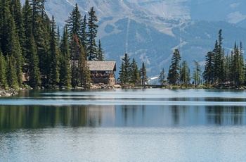 Tehus ved Lake Agnes i Banff National Park