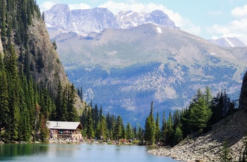 Tehus ved Lake Agnes i Banff National Park