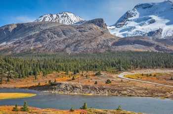 Bjerge langs Icefields Parkway , Alberta i Canada