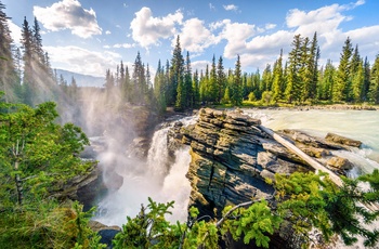 Athabasca vandflad i Jasper Nationalpark langs Icefields Parkway, Alberta i Canada