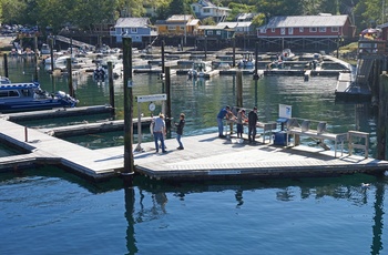 Lystfiskere på marinaen i Telegraph Cove, Vancouver Island i Canada