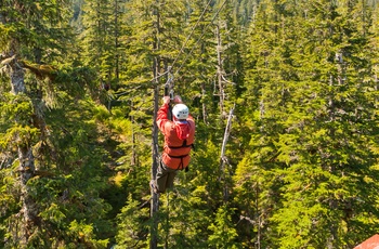 Zipline ved Whistler, British Columbia i Canada