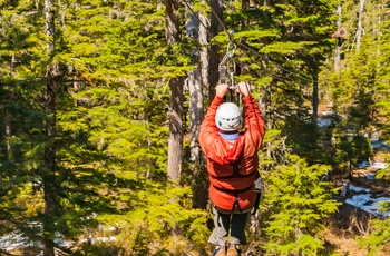 Zipline ved Whistler, British Columbia i Canada