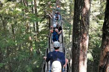 Zipline ved Whistler, British Columbia i Canada