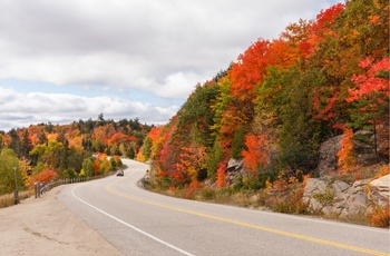 Highway 60 i Ontario i det østlige Canada 