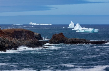 Isbjerge ved Newfoundlands kyst