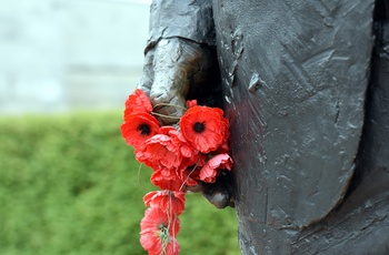 Skulptur med blomst ved Australian War Memorial, Canberra i Australien