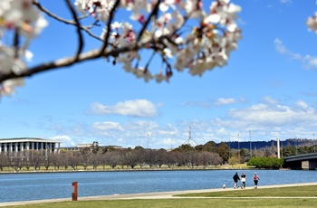 Forår i Canberra, Australien