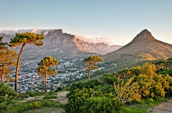 Udsigt til Cape Town og Table Mountain, Sydafrika