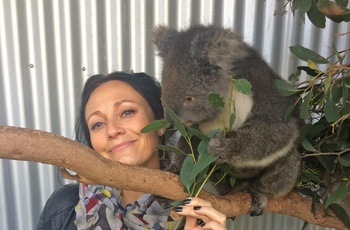 Carina og en sød koala - rejsespecialist i Lyngby
