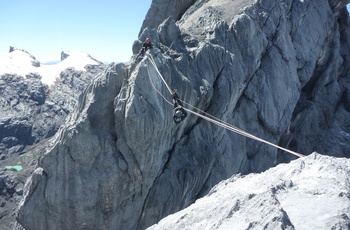 CEO og Bjergbestiger Stina Glavind på vej over Tyrolean på Carstenz Pyramide