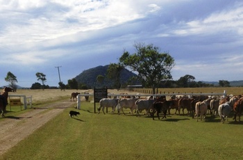 Henderson Park Farm, gate