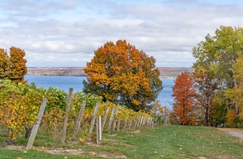 Cayuga Lake, Finger Lakes regionens største sø - New York State