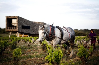 Château & Village Castigno - Wine Hotel & Resort