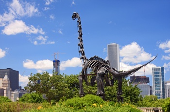 Skulptur af dinosaurus i Chicago, USA