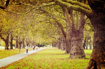 Hagley Park i Christchurch