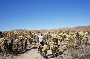 Christina i Joshua Tree National Park - rejsespecialist i Lyngby