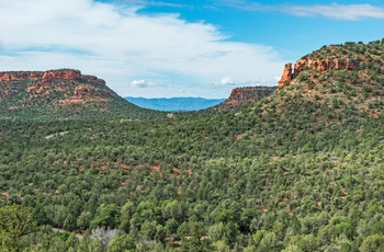 Coconino National Forest, Arizona