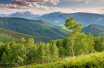 Skove og bjerge nær Vail i White River National Forest i Colorado, USA