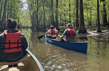 Turister på kanotur i Congaree National Park i South Carolina - USA