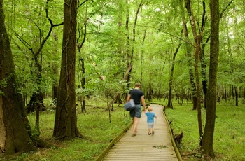 Far og søn i Congaree National Park i South Carolina - USA