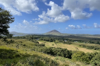 Connemara, Irland - hedelandskab i frisk vejr