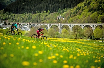 På cykeltur nær Willingen i Sauerland, Midttyskland - Copyright Tourist-Information Willingen, Fotograf Nathan Hughes