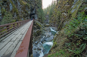 Gangbro i Coquihalla Canyon Provincial Park i British Columbia - Canada
