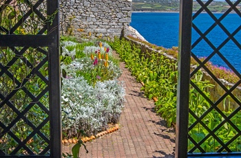 Smuk have på klosterøen St Michaels Mount ud for Cornwalls sydkyst - England