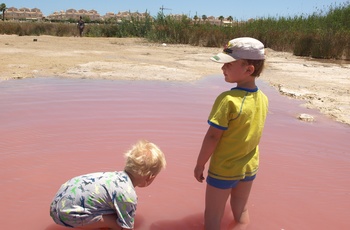 Pink sø i Torrevieja på Costa Blanca