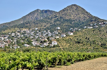 Vinmarker inde i landet bag kystbyen Roses, Costa Brava i Spanien