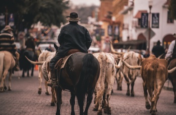 Cowboy ved Forth Worth Stockyards