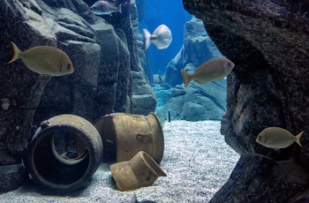 CretAquarium i Thalassokosmos - Kreta