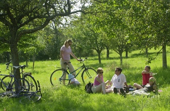 Cykelferie i Alsace