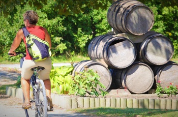 På cykeltur i vinområde - New Zealand