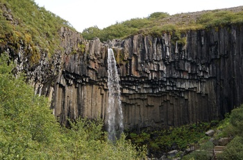 Svartifoss