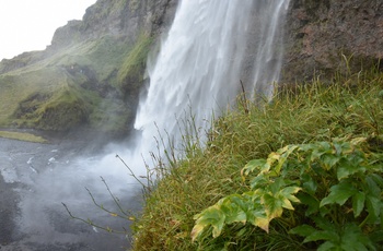 Seljalandsfoss