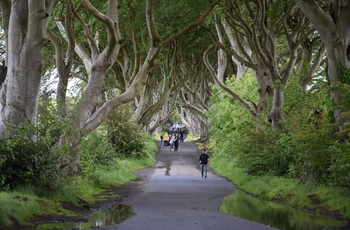 The Dark Hedges