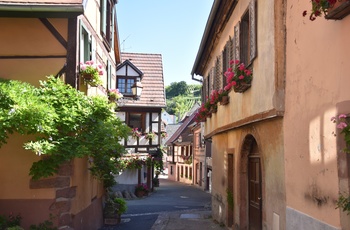Ribeauvillé, Alsace
